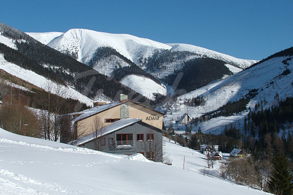 Hotel Adam Rm124