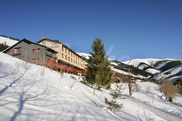 Hotel Adam Rm124