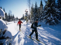 Erzgebirge (Krušné hory), Tschechien