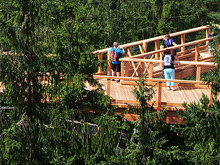 Baumwipfelpfad Lipno